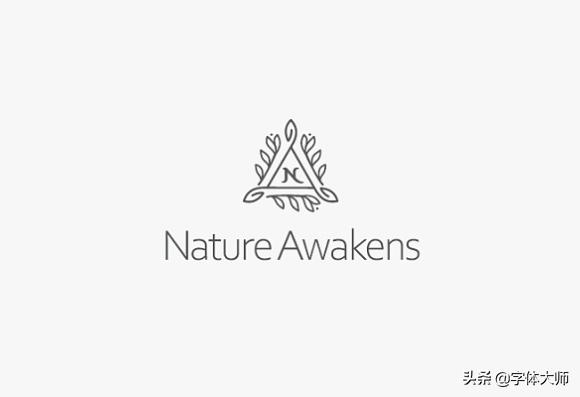 标志设计60种,53logo