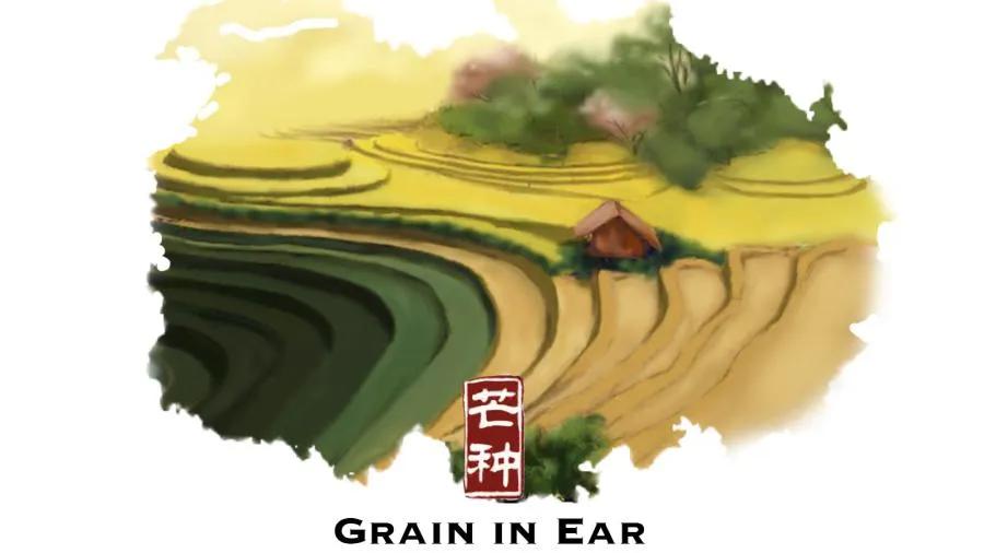 喜茶制作日常饮品有哪些,喜茶饮品做法