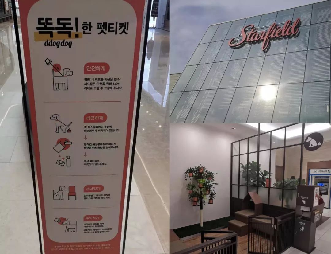 韩国宠物店推荐,韩国宠物店体验