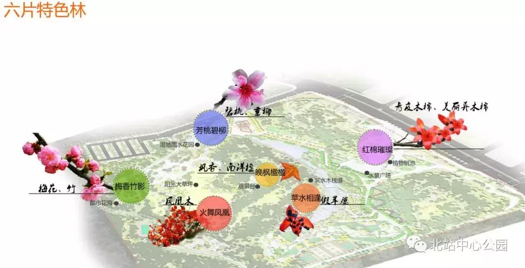 深圳将建8万人专业足球场,全国最大足球公园