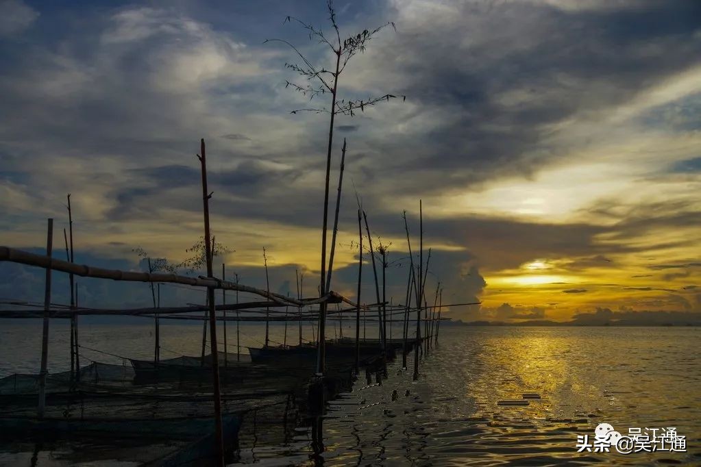 洗脚上岸,洗脚上岸读历史