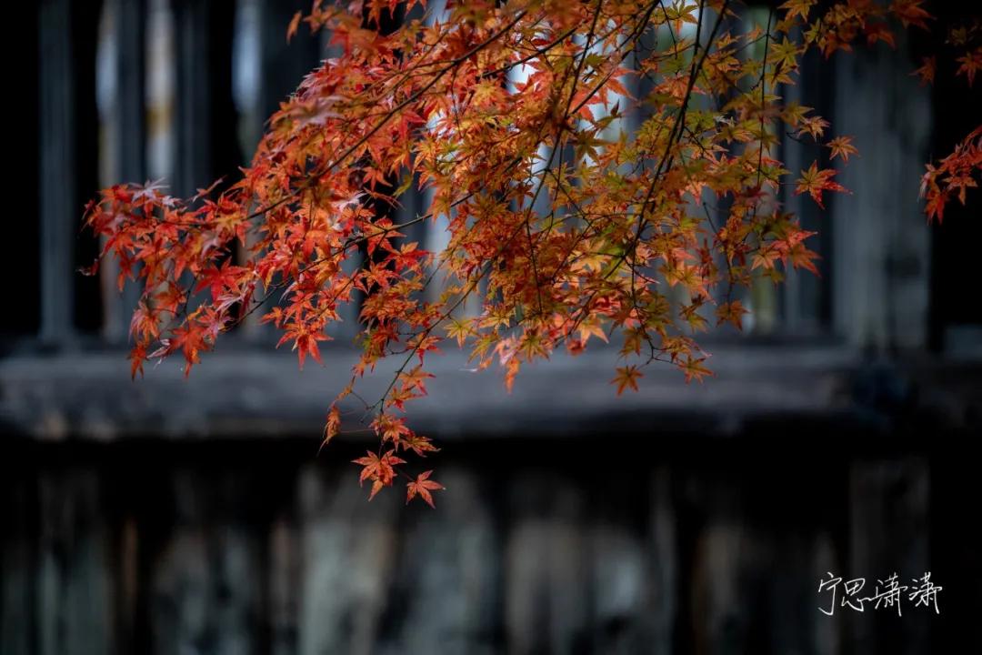 “5”缘有缘我与摄影的故事也是我与佳能“5”的故事