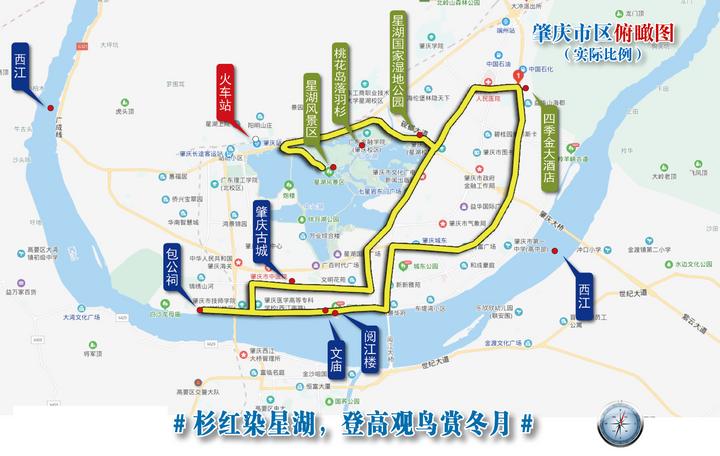 星湖冬日燃情，比落羽杉还要红的是什么？#我和湿地有个约会#