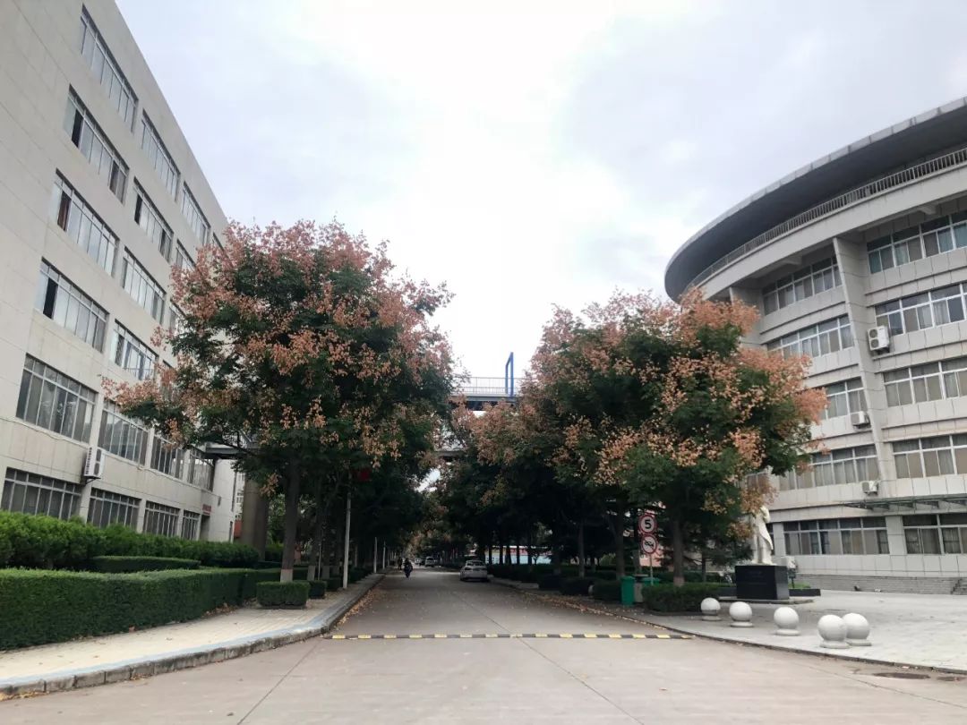 这就是渭南的网红圣地,这就是陕西