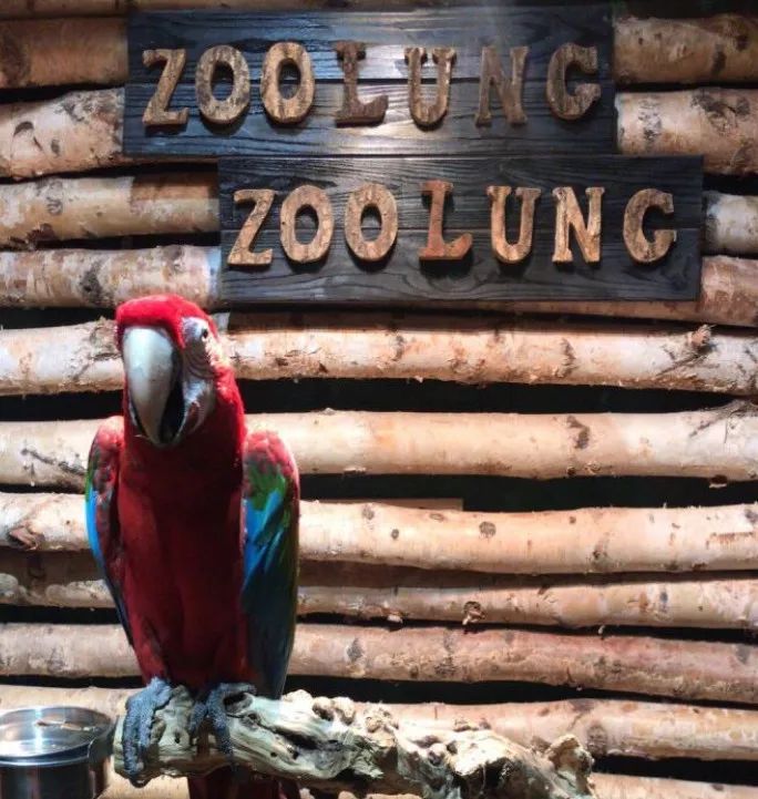 武汉带孩子吃喝游玩地方推荐,武汉吃喝玩乐指南