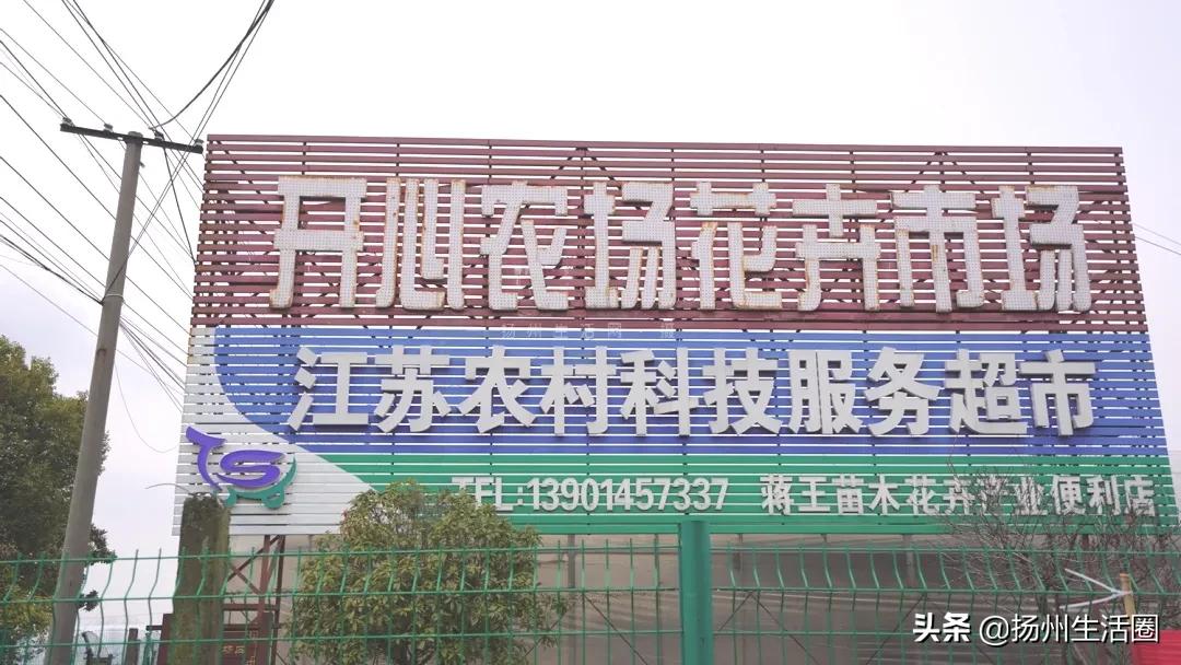 2元花盆批发,2元左右的花盆