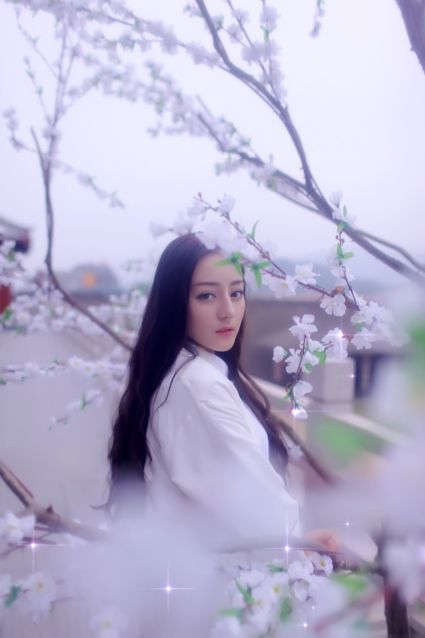 那年,那些喵,那些事