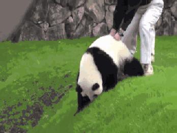 为什么不熬夜眼袋和黑眼圈也很重,长期黑眼圈不熬夜也不恢复怎么办