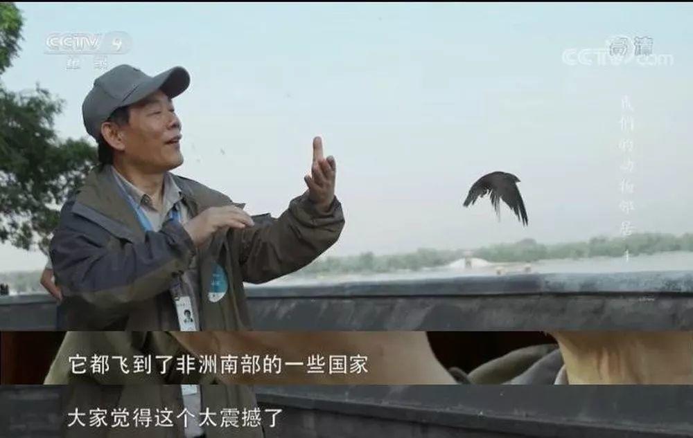 央视拍这种片怎么就没「流量」