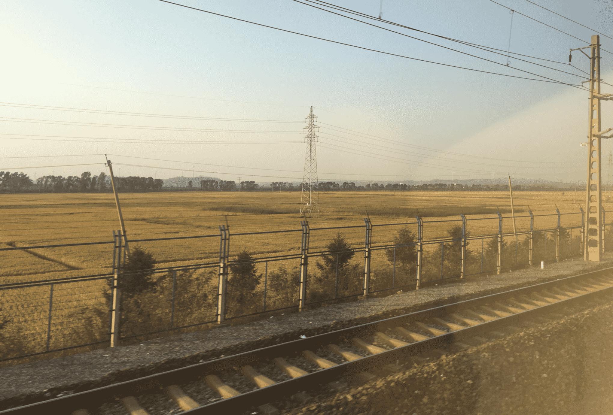 实不相瞒，我就是鹤岗的女婿