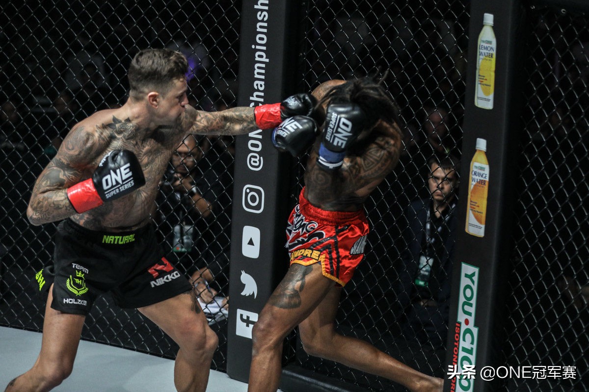 尼基霍兹肯夺冠,尼基霍兹肯资料