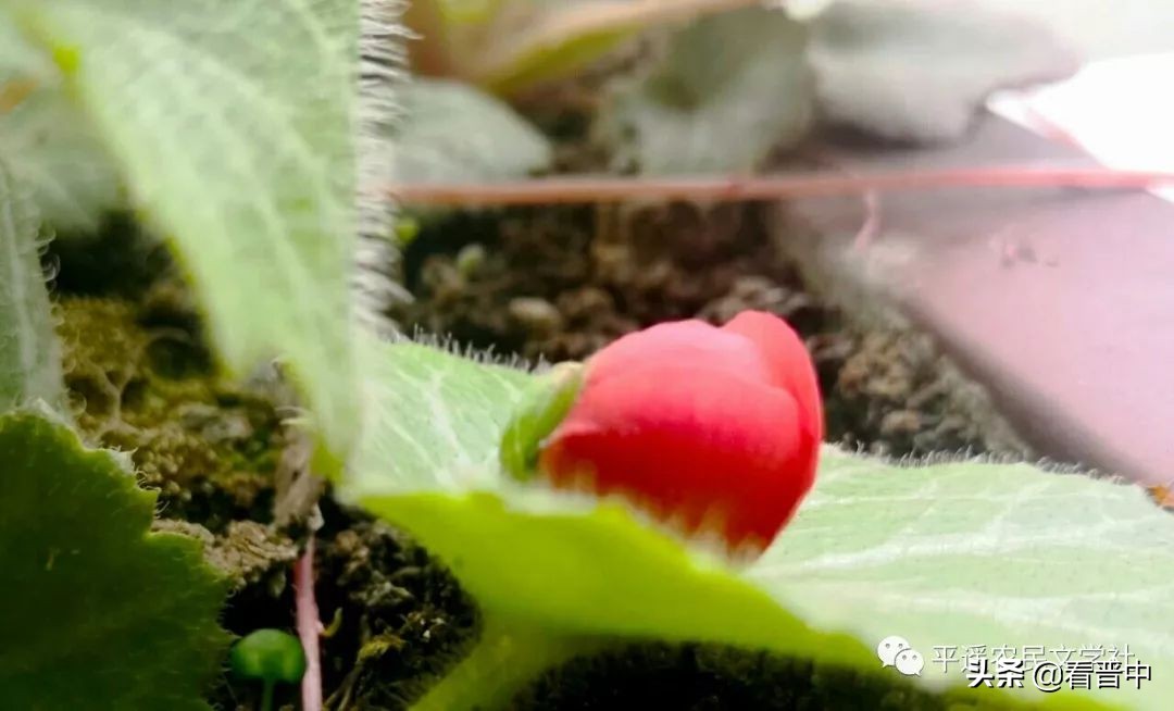 晋中婚宴,晋中旅行图文日记
