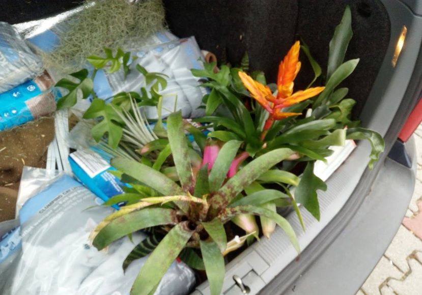 自己做大型水陆缸,在家自己打造一个沙漠缸