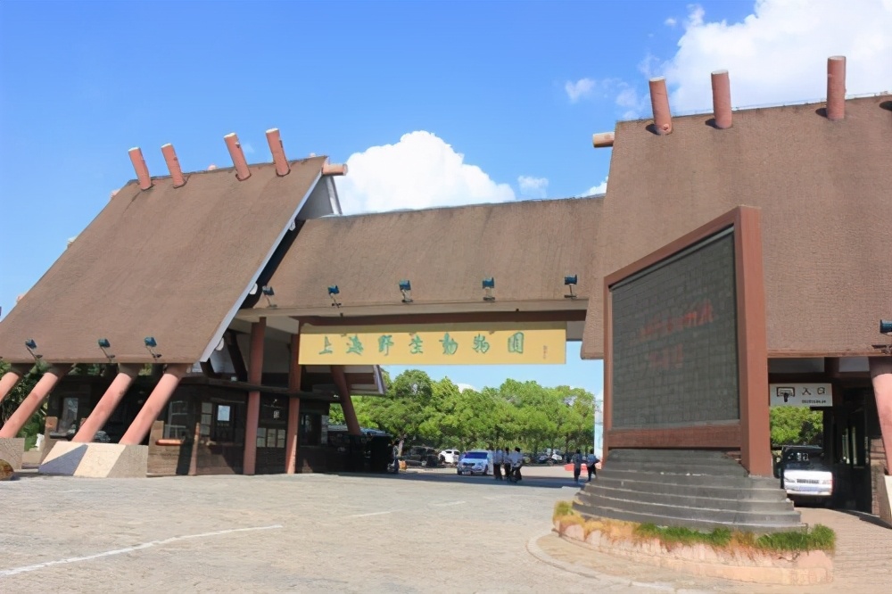上海野生动物园一日游的句子,上海野生动物园一日游旅行团