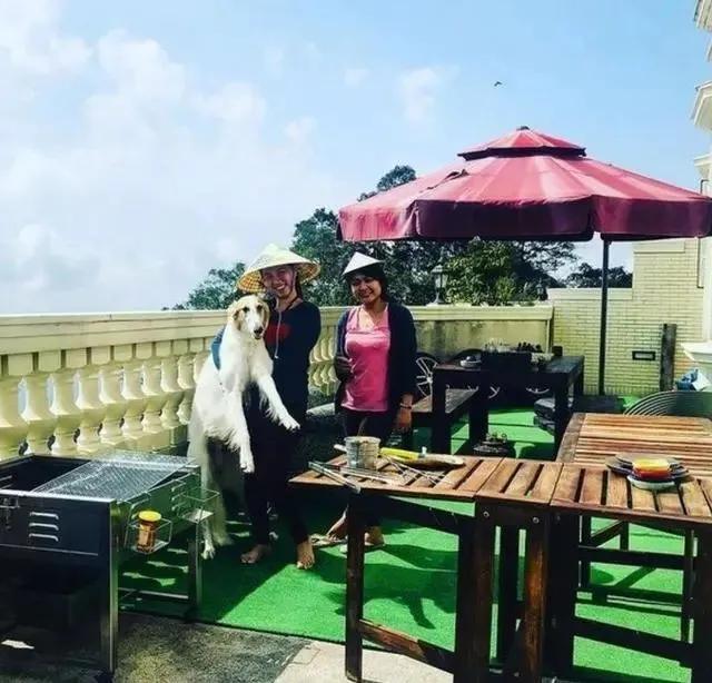 tvb艺员训练班第十二期名单,tvb10期艺员训练班完整名单