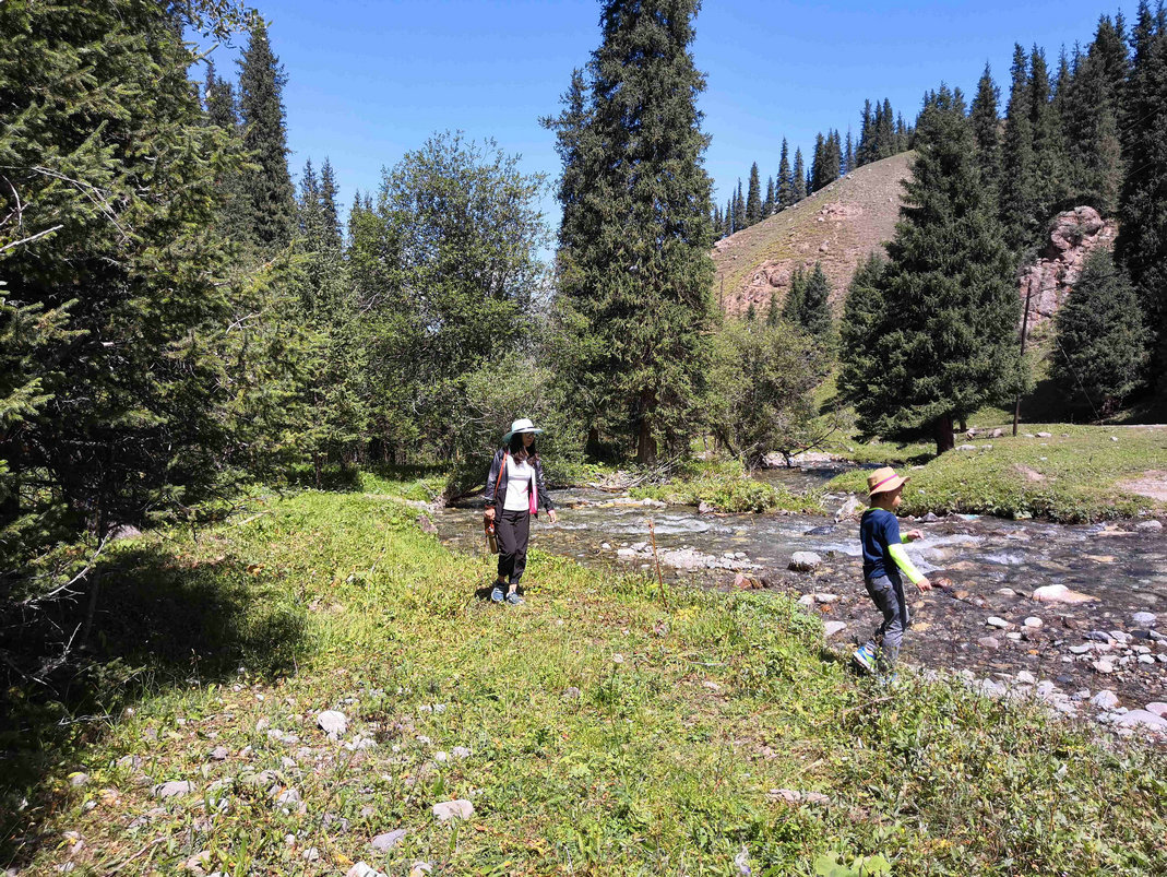 *疆新**蒙古包旅店老板，看他一天的收入多少，一个月就抵我一年工资