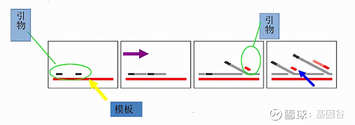 全场硬菜！分子诊断技术全解析
