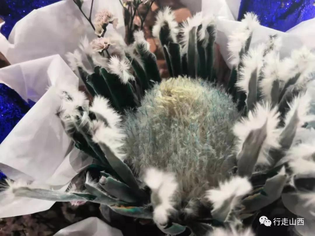 开一家温暖的花店一群温暖的人,开一家梦想中的花店