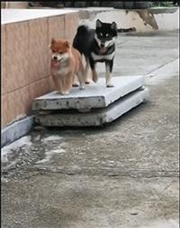 买了个保温杯，结果里面塞满了口红，这是买到假货了？