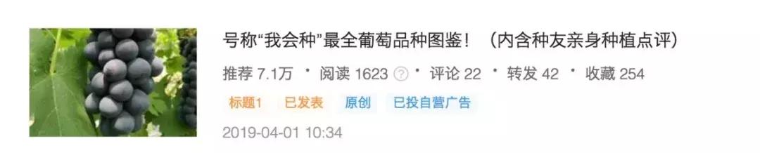 贡柑柑橘,柑橘沃柑和脐橙的区别