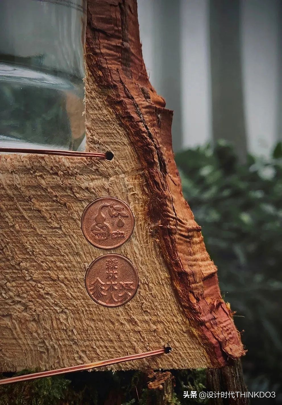 金点设计奖作品,2022红点包装设计大奖作品