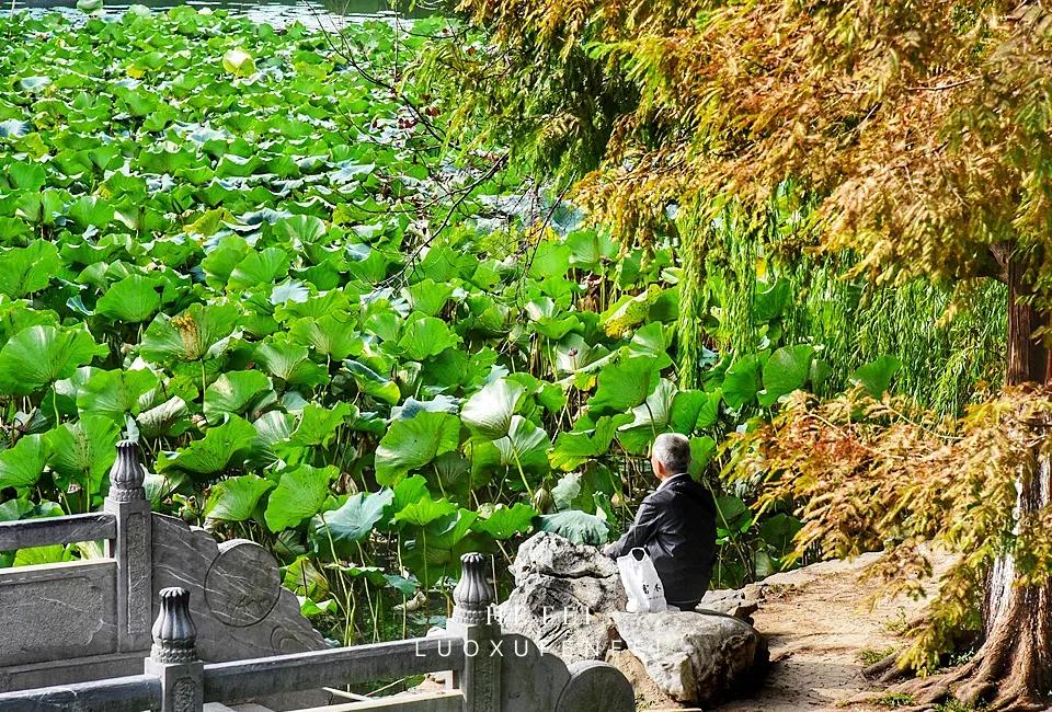科学家摇篮哈工大,中科大科学家的摇篮