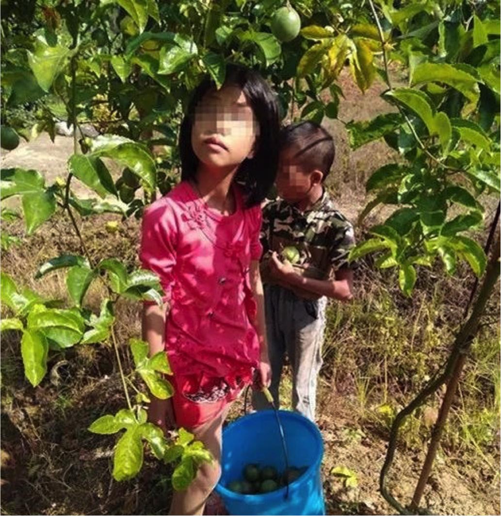 她们有多纯洁，人间就有多恶：素媛和百香果女孩之殇