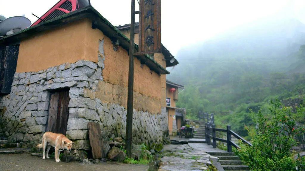 犬吠古诗,古诗中有犬吠的诗句