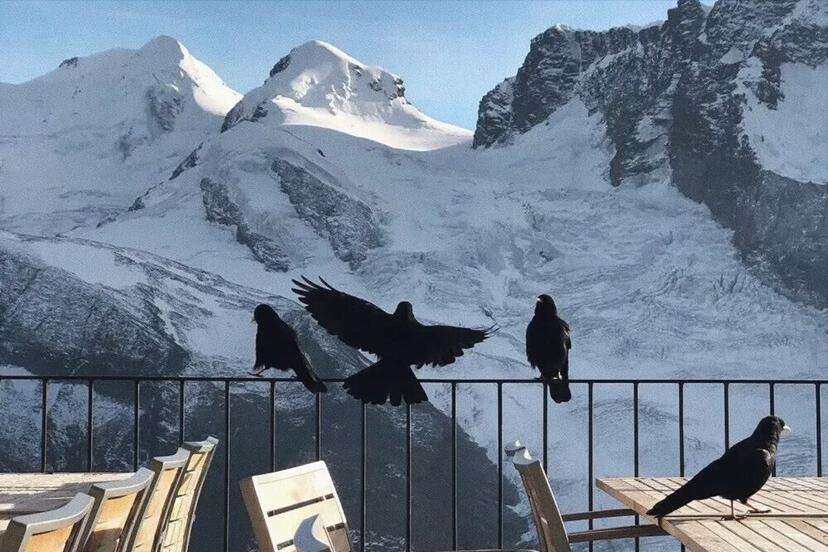 不懂感恩没有情义的三大星座,人品最好最值得深交的五大星座