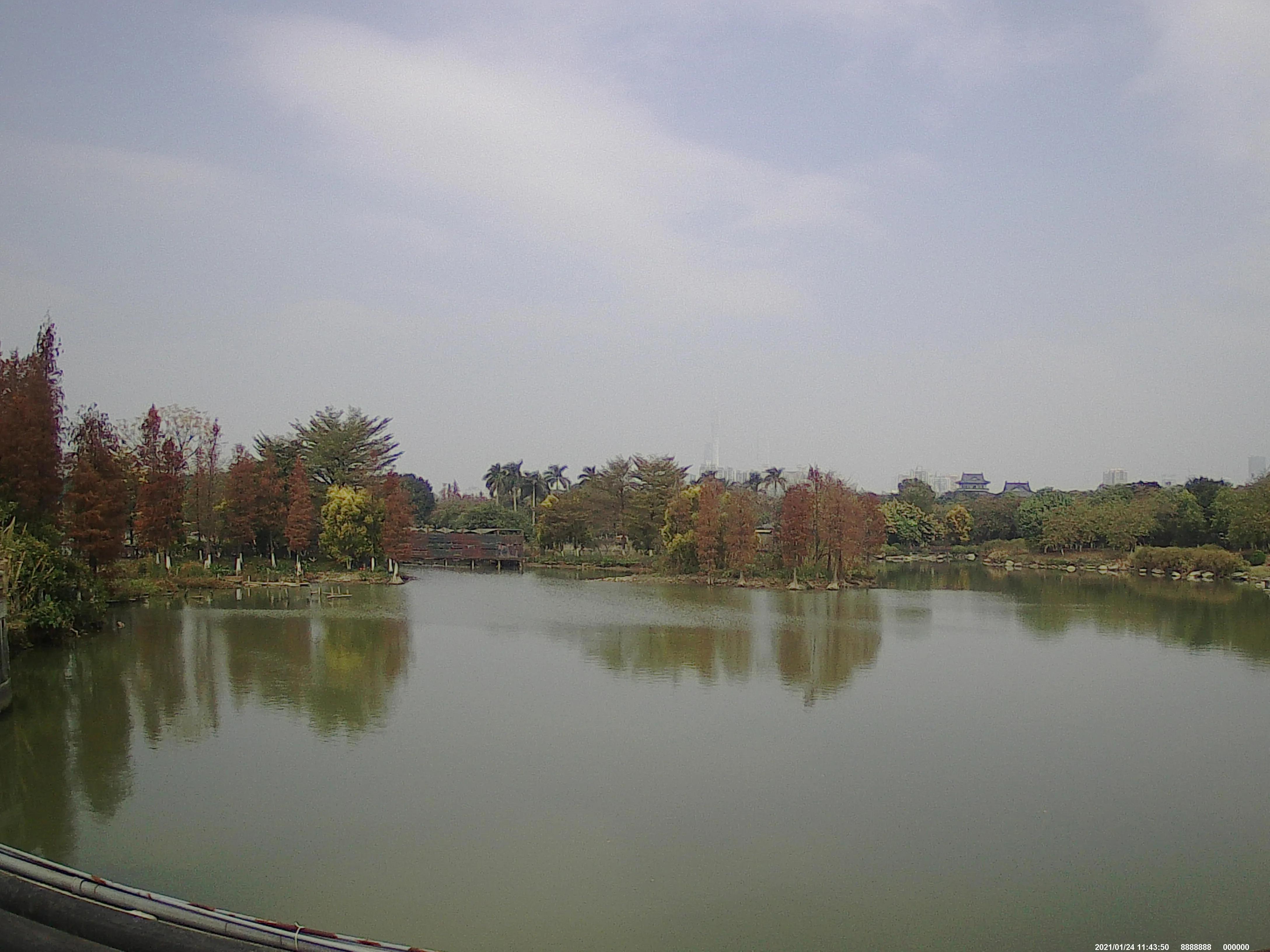 广州海珠湖,海珠湖变化