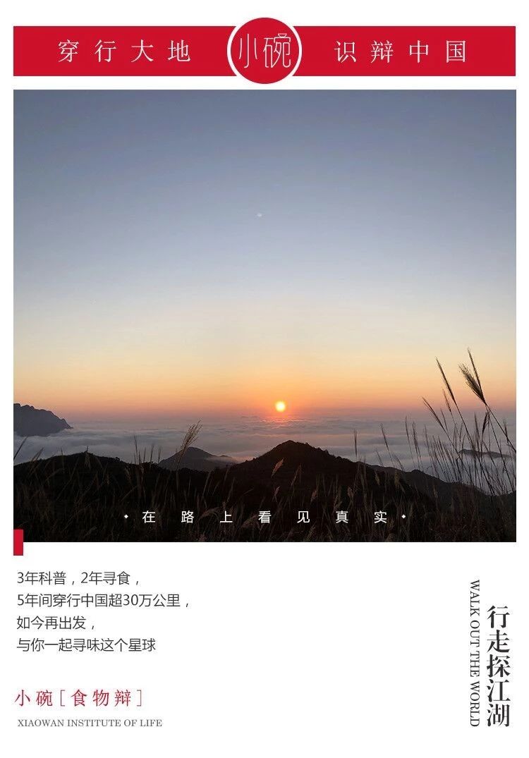 鸭屎香为什么这么难喝,鸭屎香哪里的最好喝