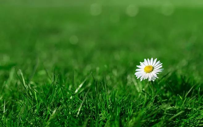 婚姻什么阶段适合要孩子,结婚有了孩子后如何增进夫妻感情