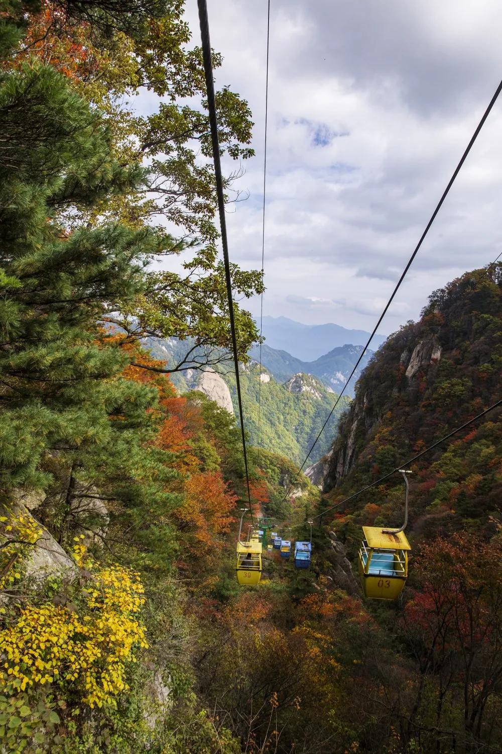 尧山看红叶攻略,看红叶的地方推荐冷门地区两日游
