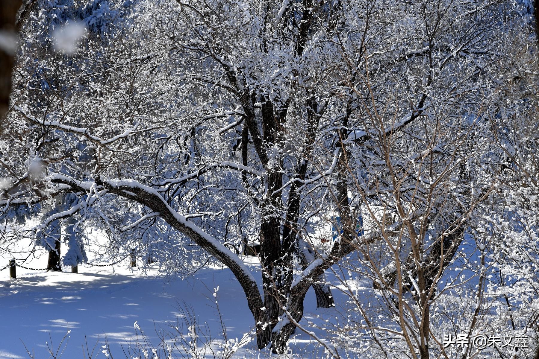 吉林柳河下雪,吉林省通化市柳河