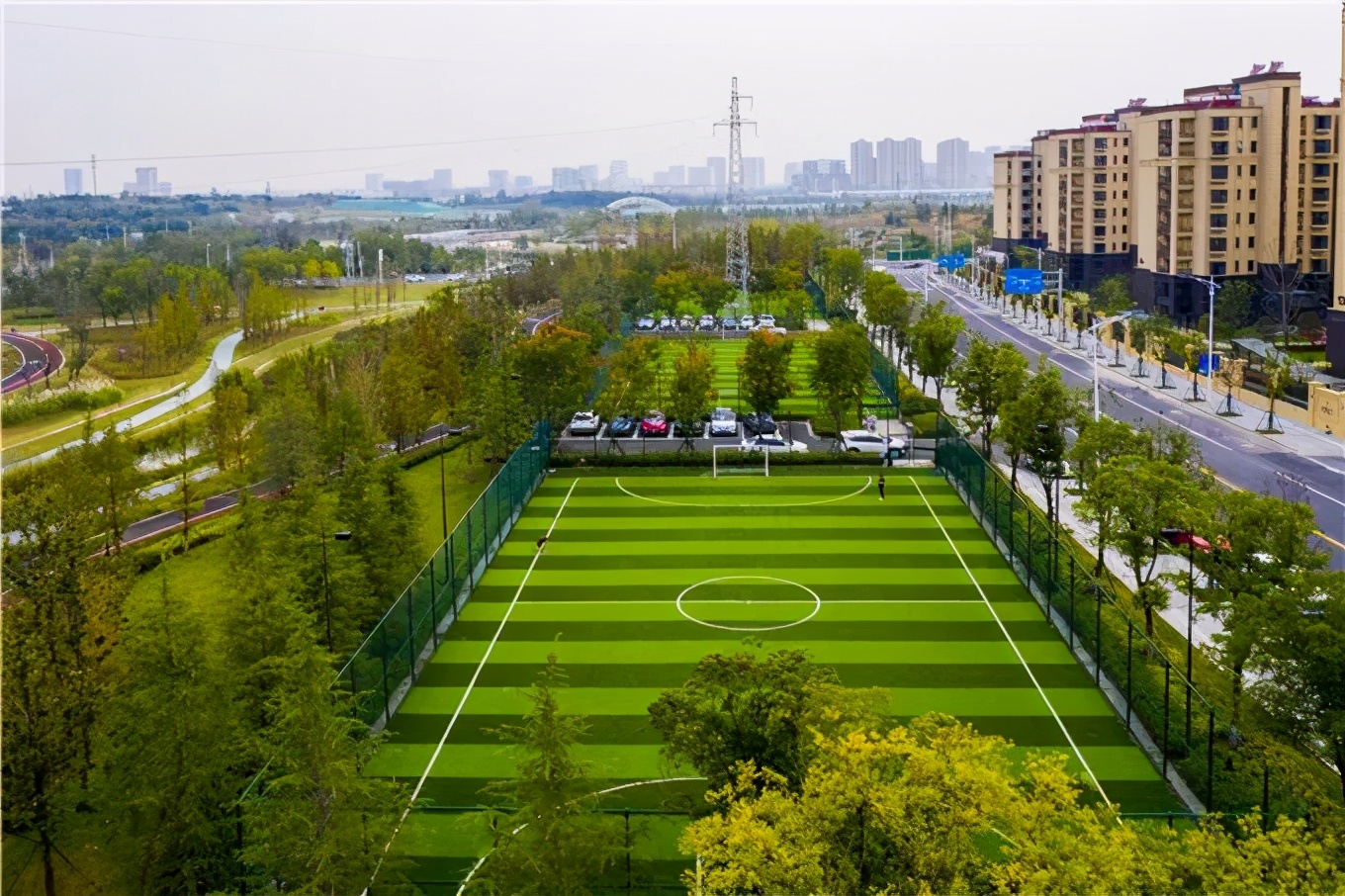 藏不住了这片樱花林免门票免预约,藏不住的傅先生