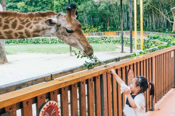广州长隆旅游攻略自由行详细,广州长隆五一节3天2夜亲子游攻略