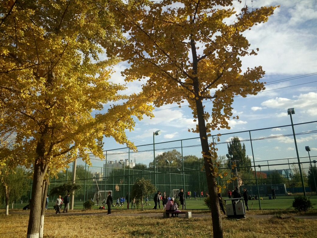 北京小众宝藏旅行地拍照,北京宝藏小众景点