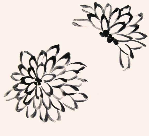 国画知识：不会画菊花？教你5种菊花画法，简单易学，快来临摹吧