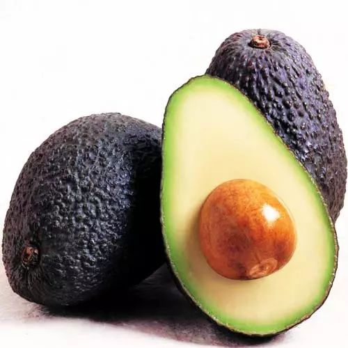 三十种绝对不能给猫吃的食物,猫不能吃的50种食物大全