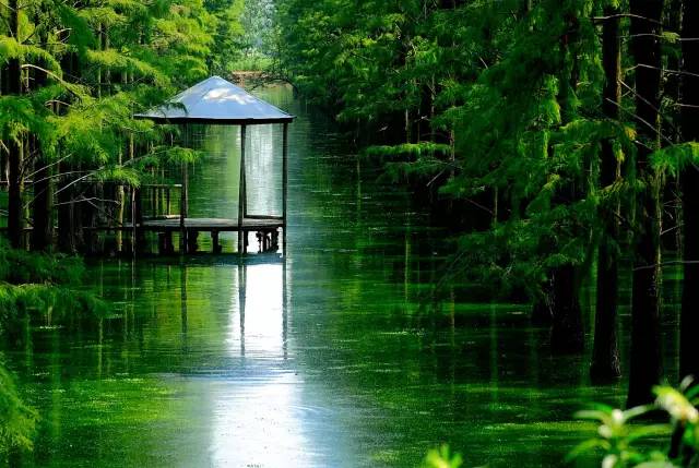 武汉市最热门的春游景点,2022武汉春游好去处