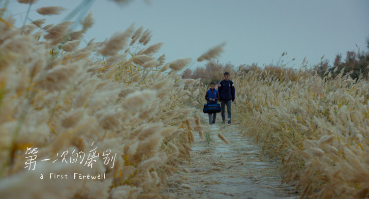 柏林苍穹下电影插曲,柏林苍穹下剧情解析