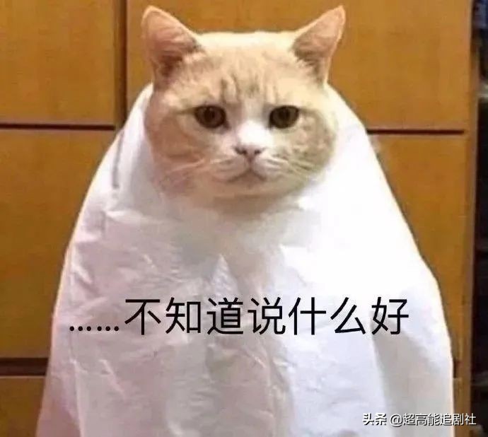 海狗丸平替,海狗丸up主