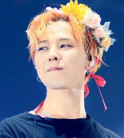 权志龙ins粉丝数最新,权志龙ins粉丝数量最新