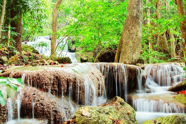 日久见人心上句,日久见人心原唱