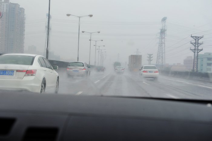 七彩神仙爱好者,野生七彩神仙开口