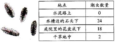 七年级生物上册生物与环境测试卷,七年级上册生物考点及单元练习