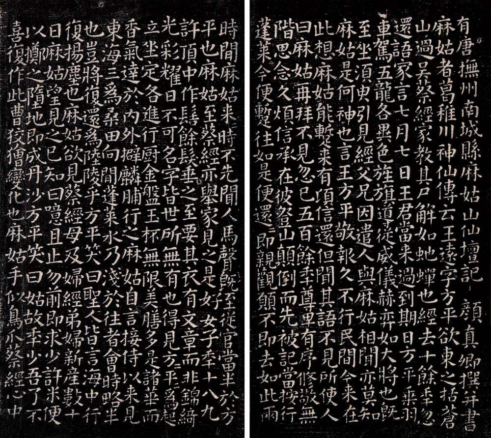 朱大可嫦娥,朱大可致敬母亲完整版