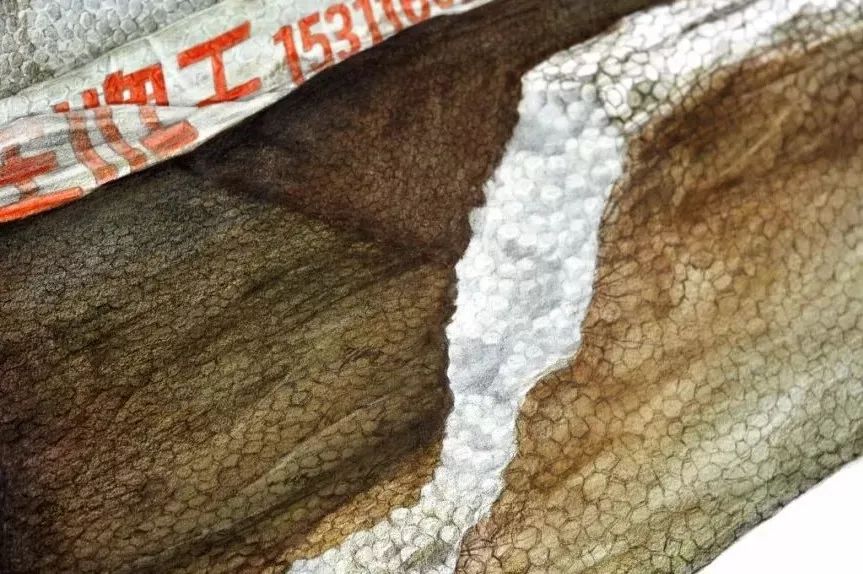 央美vs985,鲁美附中精微素描作品欣赏