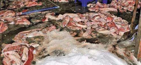 猫咪零食哪种比较好,猫咪零食一定要买好的吗