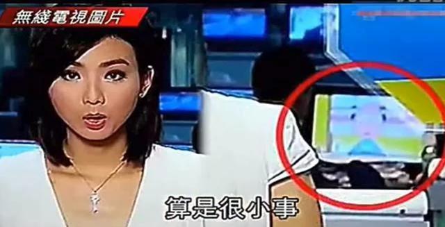 央视直播猫叫后续,央视直播多次出现猫叫